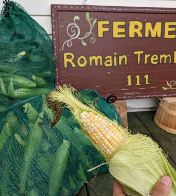 ferme-romain-tremblay