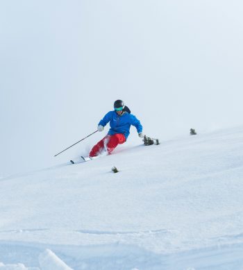 skier